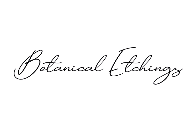 Botanical Etchings product range